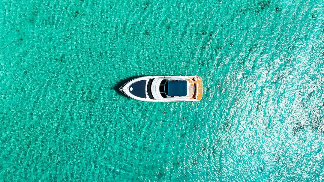 Eden Luca Blue seen straight from above, alone in vivid turquoise water off Aruba